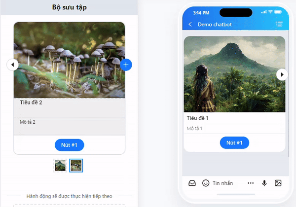 Ví dụ bộ sưu tập
